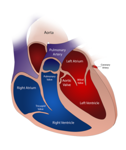 chronic obstructive pulmonary disease