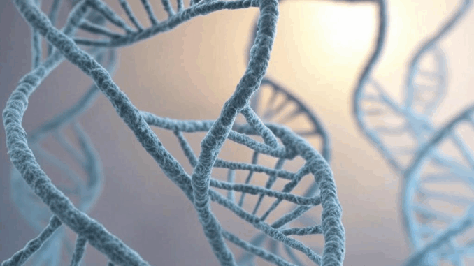 STITCHR: RNA’s Clever Gene Fix STITCHR: RNA’s Clever Gene Fix