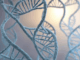 STITCHR: RNA’s Clever Gene Fix